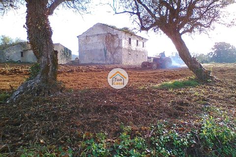 Byhus i Penacova, Coimbra, Penacova - € 55.000 | Ref: 1TC2962 - foto 5