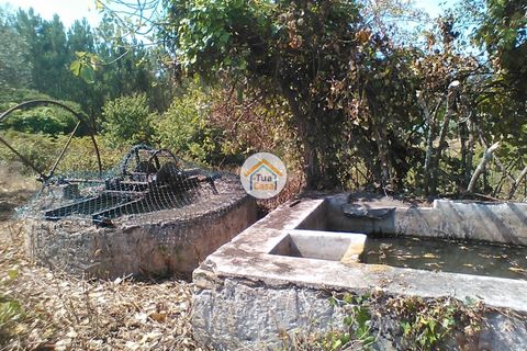 Byhus i Penacova, Coimbra, Penacova - € 55.000 | Ref: 1TC2962 - foto 6