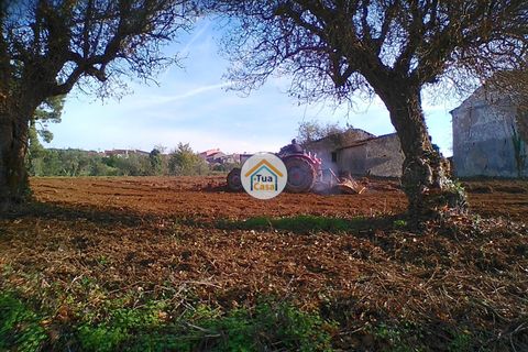 Byhus i Penacova, Coimbra, Penacova - € 55.000 | Ref: 1TC2962 - foto 7