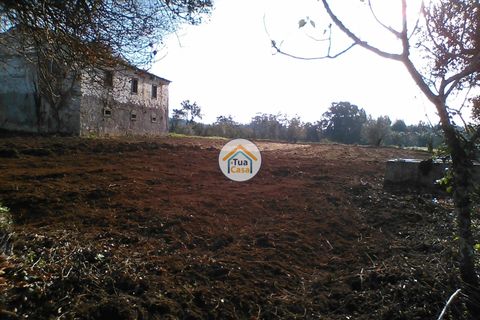 Byhus i Penacova, Coimbra, Penacova - € 55.000 | Ref: 1TC2962 - foto 8