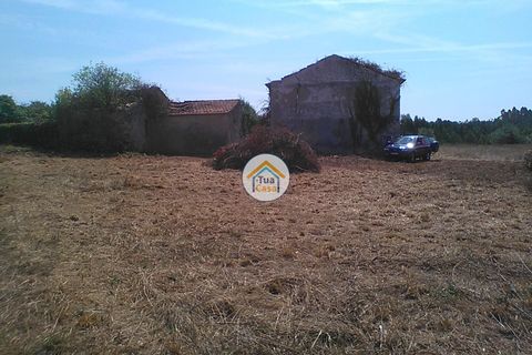 Byhus i Penacova, Coimbra, Penacova - € 55.000 | Ref: 1TC2962 - foto 11