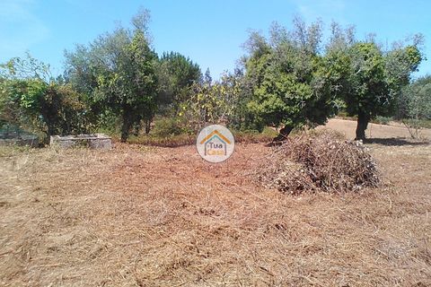 Byhus i Penacova, Coimbra, Penacova - € 55.000 | Ref: 1TC2962 - foto 12