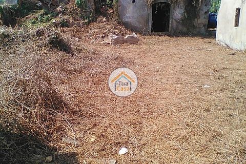 Byhus i Penacova, Coimbra, Penacova - € 55.000 | Ref: 1TC2962 - foto 15