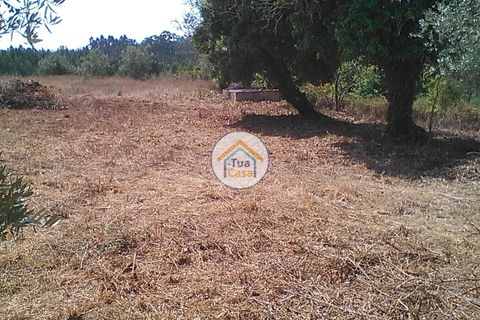 Byhus i Penacova, Coimbra, Penacova - € 55.000 | Ref: 1TC2962 - foto 17