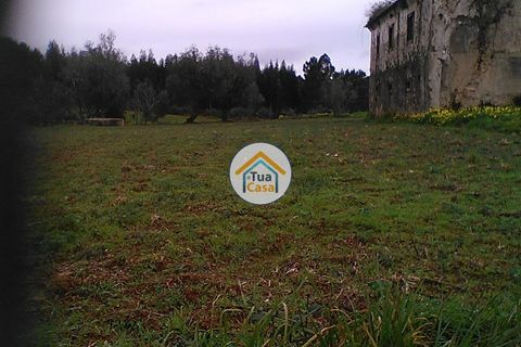 Byhus i Penacova, Coimbra, Penacova - € 55.000 | Ref: 1TC2962 - foto 18