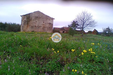 Byhus i Penacova, Coimbra, Penacova - € 55.000 | Ref: 1TC2962 - foto 20
