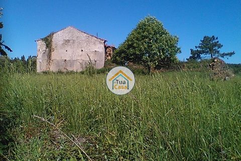 Byhus i Penacova, Coimbra, Penacova - € 55.000 | Ref: 1TC2962 - foto 21