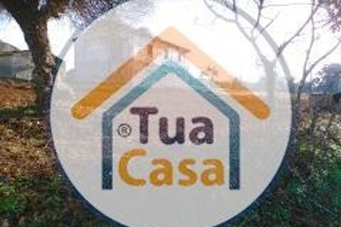 Byhus i Penacova, Coimbra, Penacova - € 55.000 | Ref: 1TC2962 - foto 22