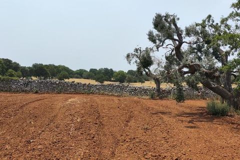 Helårsgrund i Ostuni, Brindisi, Ostuni - € 45.000 | Ref: 256 - foto 2