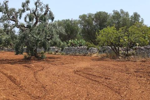 Helårsgrund i Ostuni, Brindisi, Ostuni - € 45.000 | Ref: 256 - foto 18