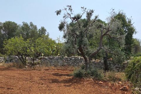 Helårsgrund i Ostuni, Brindisi, Ostuni - € 45.000 | Ref: 256 - foto 10