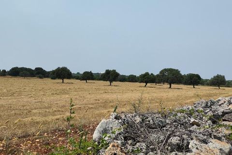 Helårsgrund i Ostuni, Brindisi, Ostuni - € 45.000 | Ref: 256 - foto 4