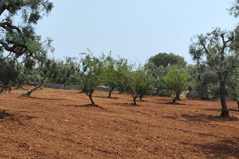 Helårsgrund i Ostuni, Brindisi, Ostuni - € 45.000 | Ref: 256 - foto 12
