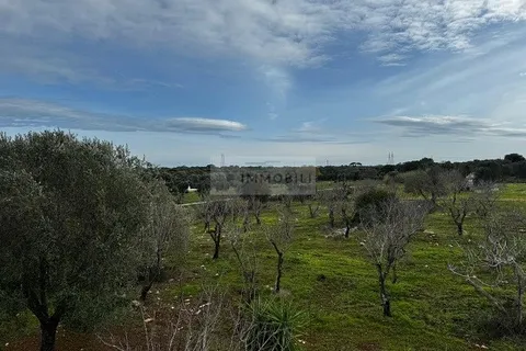 Landejendom i Carovigno, Brindisi, Carovigno - € 89.000 | Ref: tr3 trullo - foto 12
