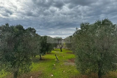 Landejendom i Carovigno, Brindisi, Carovigno - € 89.000 | Ref: tr3 trullo - foto 9