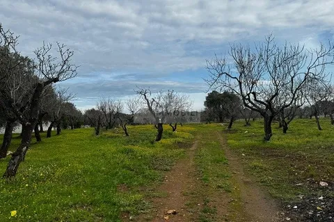 Landejendom i Carovigno, Brindisi, Carovigno - € 89.000 | Ref: tr3 trullo - foto 20