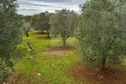 Landejendom i Carovigno, Brindisi, Carovigno - € 89.000 | Ref: tr3 trullo - foto 8