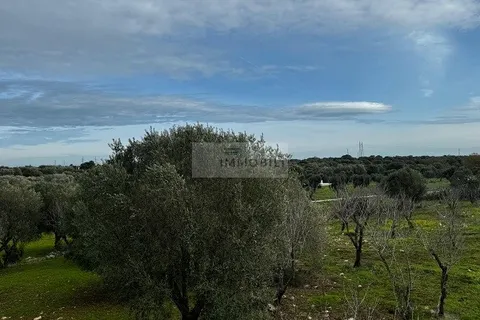 Landejendom i Carovigno, Brindisi, Carovigno - € 89.000 | Ref: tr3 trullo - foto 11