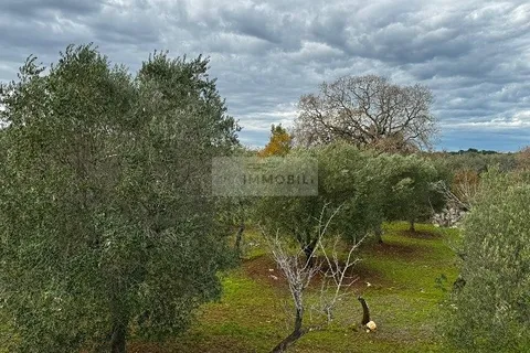 Landejendom i Carovigno, Brindisi, Carovigno - € 89.000 | Ref: tr3 trullo - foto 10