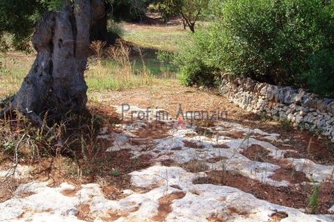 Villa i Carovigno, Brindisi, Carovigno - € 350.000 | Ref: 121727 - foto 17
