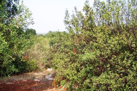 Villa i Carovigno, Brindisi, Carovigno - € 350.000 | Ref: 121727 - foto 16