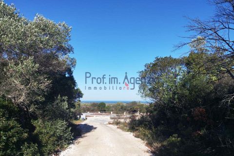 Villa i Carovigno, Brindisi, Carovigno - € 350.000 | Ref: 121727 - foto 13