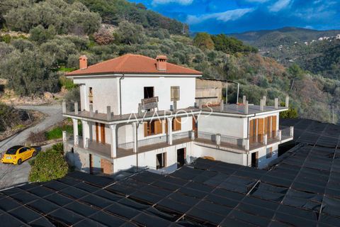 Villa i Vallebona, Imperia, Vallebona - € 540.000 | Ref: 5603 - foto 16
