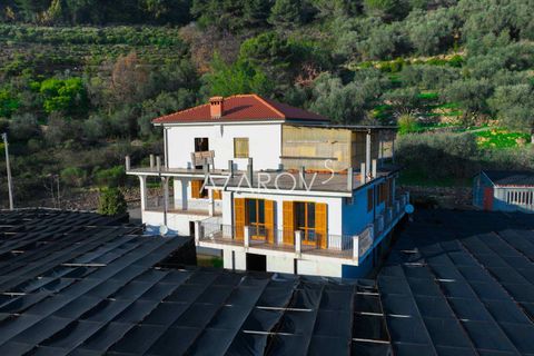 Villa i Vallebona, Imperia, Vallebona - € 540.000 | Ref: 5603 - foto 17
