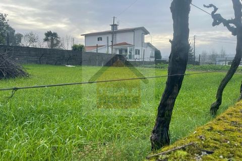 Helårsgrund i Penafiel, Porto, Penafiel - € 85.000 | Ref: 1031 - foto 4