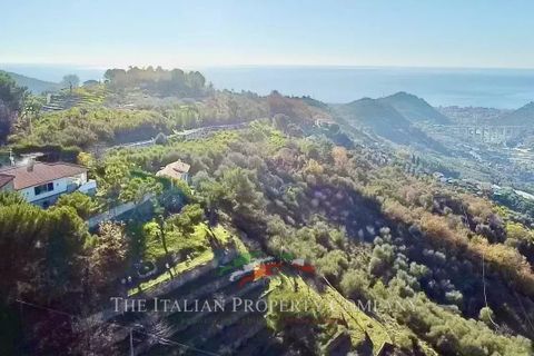 Villa i Vallebona, Imperia, Vallebona - € 695.000 | Ref: E291 - foto 4