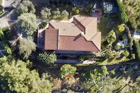 Villa i Vallebona, Imperia, Vallebona - € 695.000 | Ref: E291 - foto 7