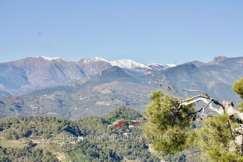 Villa i Vallebona, Imperia, Vallebona - € 695.000 | Ref: E291 - foto 8