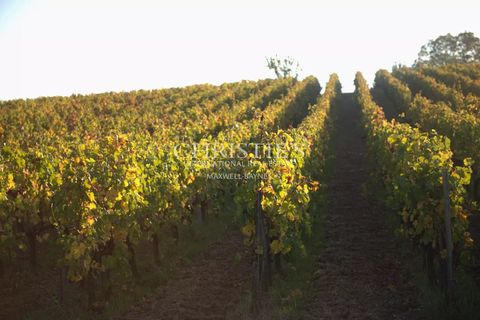 Landejendom i Libourne, Gironde, Libourne - € 556.500 | Ref: JCS1063-R - foto 10