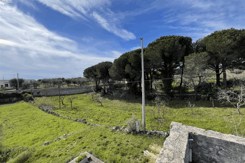 Landejendom i Ostuni, Brindisi, Ostuni - € 300.000 | Ref: 604 - foto 38
