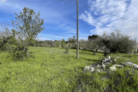Landejendom i Ostuni, Brindisi, Ostuni - € 300.000 | Ref: 604 - foto 43