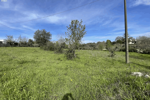 Landejendom i Ostuni, Brindisi, Ostuni - € 300.000 | Ref: 604 - foto 42