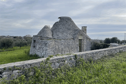 Landejendom i Ostuni, Brindisi, Ostuni - € 300.000 | Ref: 604 - foto 12