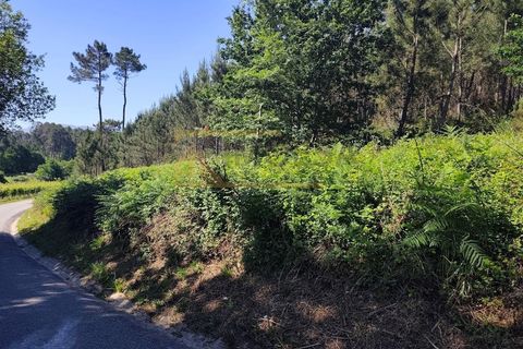 Helårsgrund i Moncao, Viana do Castelo, Moncao - € 55.000 | Ref: REF248 - foto 3