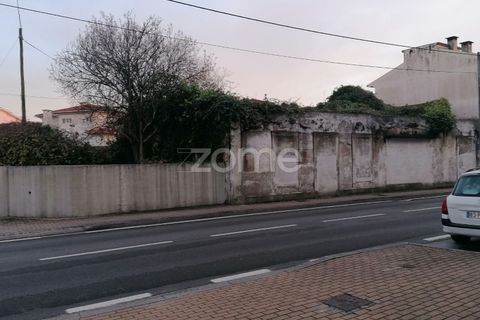 Villa i Ilhavo, Aveiro, Ilhavo - € 550.000 | Ref: ZMPT563631 - foto 5