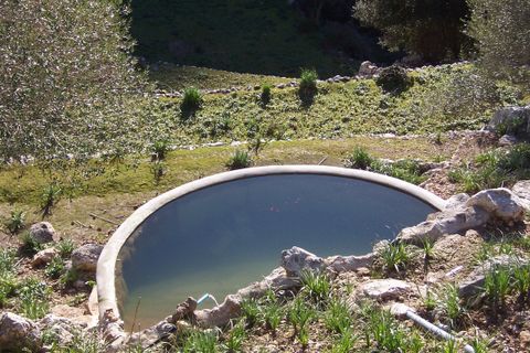 Finca i Escorca, Mallorca, Escorca - € 1.495.000 | Ref: 72737 - foto 6