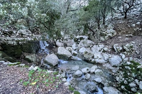 Finca i Escorca, Mallorca, Escorca - € 1.495.000 | Ref: 72737 - foto 10
