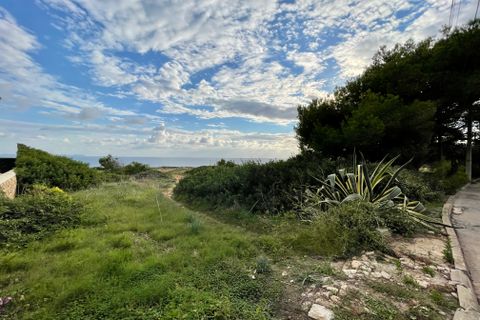 Terra a Llucmajor, Mallorca, Llucmajor - € 1.250.000 | Ref: 72885 - foto 2
