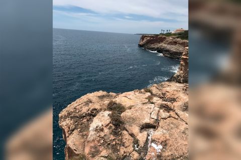 Terra a Llucmajor, Mallorca, Llucmajor - € 1.250.000 | Ref: 72885 - foto 7
