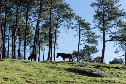 Villa a Gondomar, Pontevedra, Gondomar - € 475.000 | Ref: VIG45739 - foto 26