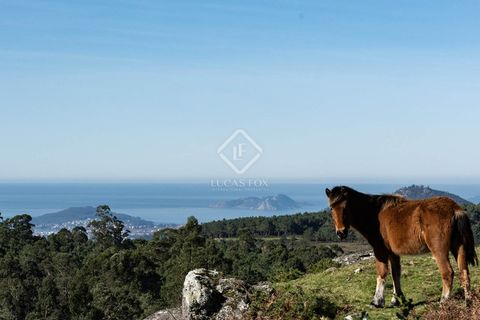 Villa a Gondomar, Pontevedra, Gondomar - € 475.000 | Ref: VIG45739 - foto 28