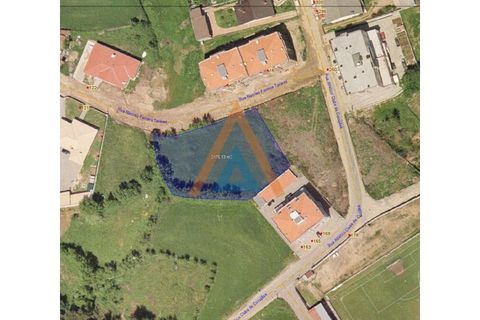 Helårsgrund i Vila de Cucujaes, Aveiro, Vila de Cucujaes - € 150.000 | Ref: TER_1527 - foto 2