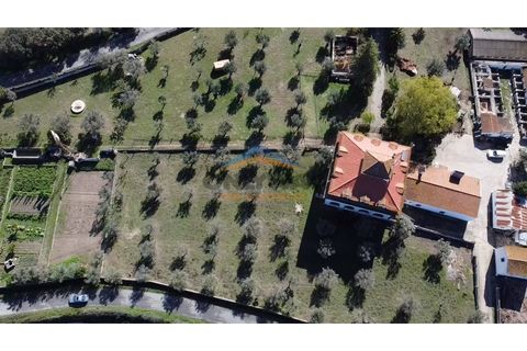 Farm i Evora, Evora, Evora - € 1.850.000 | Ref: 32 - foto 5