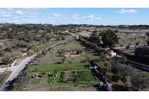 Farm i Evora, Evora, Evora - € 1.850.000 | Ref: 32 - foto 6