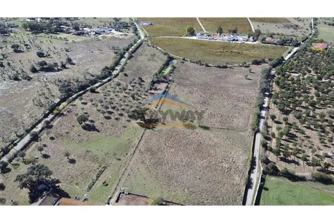 Farm i Evora, Evora, Evora - € 1.850.000 | Ref: 32 - foto 7