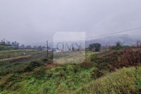 Helårsgrund i Amarante, Porto, Amarante - € 300.000 | Ref: TER_930 - foto 3